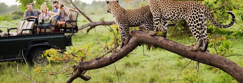 east-africa-tour-1-800x450-1