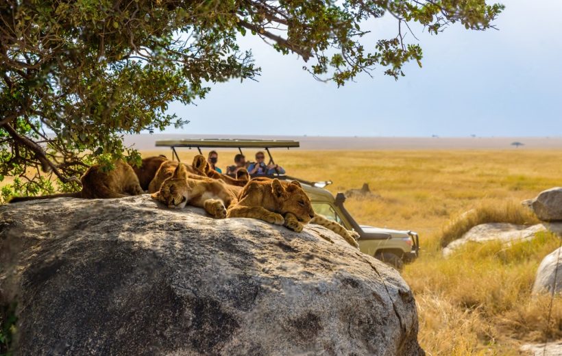 7 Days Top Luxury Tented Camps Tanzania Safari.