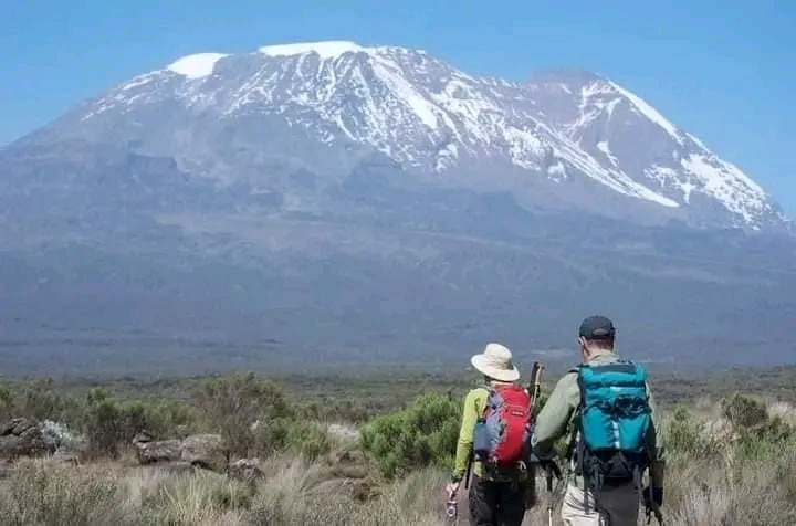 8-Days Mt. Kilimanjaro Trekking Machame Route
