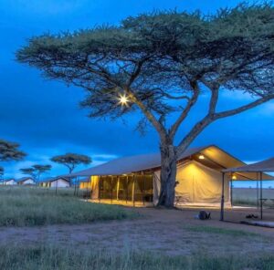 12-Days Mid Range Tanzania Tented Camp Safari