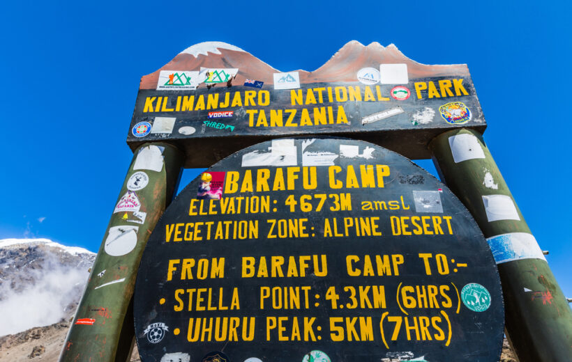 7-Days Mt. Kilimanjaro Trekking Marangu Route