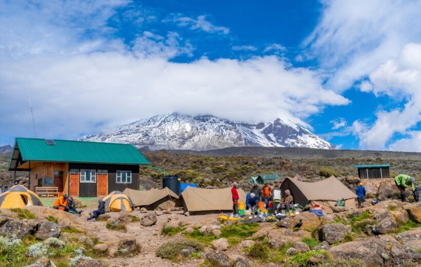 8-Days Mt. Kilimanjaro Trekking Lemosho Route